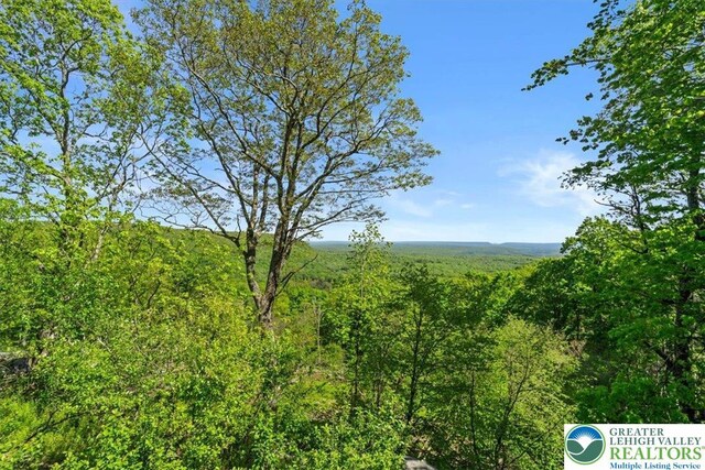 127 Timber Lake Dr, Barrett Twp, PA 18325 - view of mountain background featuring a heavily wooded area