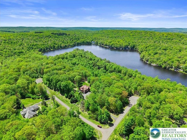 127 Timber Lake Dr, Barrett Twp, PA 18325 - aerial view of a heavily wooded area and a large body of water