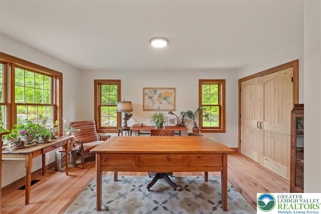 127 Timber Lake Dr, Barrett Twp, PA 18325 - office featuring light wood finished floors