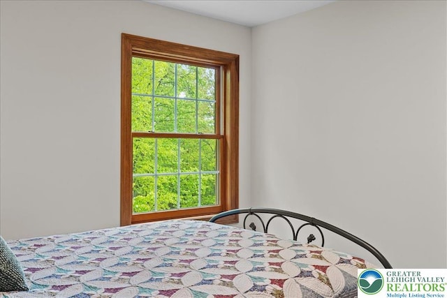 127 Timber Lake Dr, Barrett Twp, PA 18325 - view of bedroom