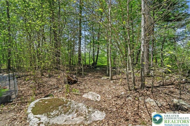 127 Timber Lake Dr, Barrett Twp, PA 18325 - view of nature