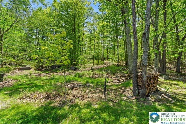 127 Timber Lake Dr, Barrett Twp, PA 18325 - view of nature