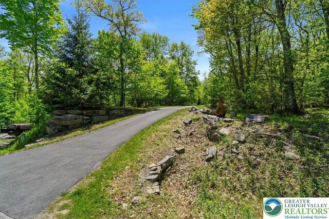 127 Timber Lake Dr, Barrett Twp, PA 18325 - view of street with a forest view