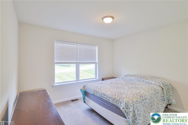 217 E Dell Rd, Moore Twp, PA 18014 - bedroom featuring carpet flooring and baseboards