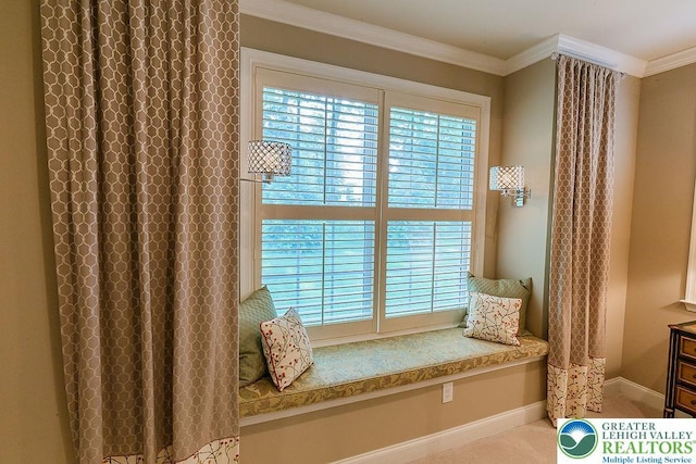1069 Resolution Dr, Bethlehem City, PA 18017 - sitting room with baseboards and crown molding