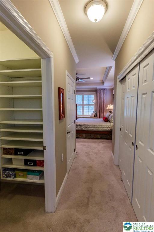 1069 Resolution Dr, Bethlehem City, PA 18017 - hall featuring carpet flooring and crown molding