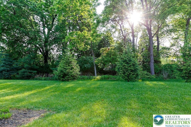 1069 Resolution Dr, Bethlehem City, PA 18017 - view of green lawn