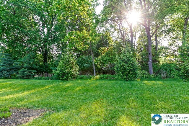 1069 Resolution Dr, Bethlehem City, PA 18017 - view of grassy yard