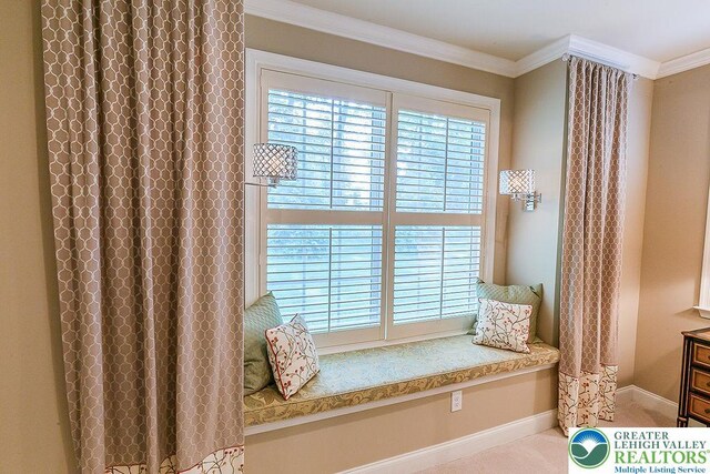 1069 Resolution Dr, Bethlehem City, PA 18017 - sitting room with baseboards and crown molding
