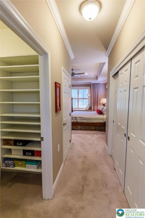 1069 Resolution Dr, Bethlehem City, PA 18017 - corridor featuring carpet and ornamental molding