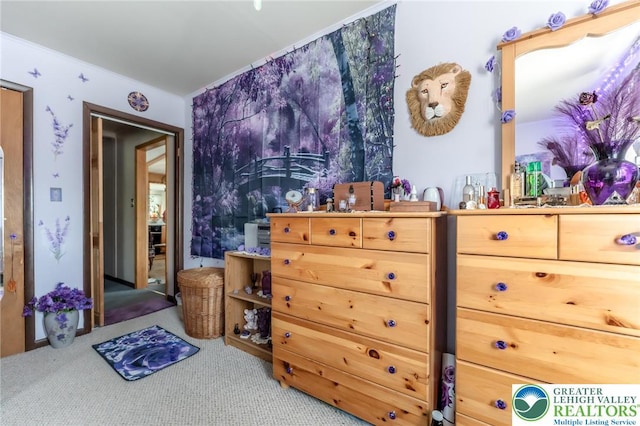 150 Lehigh St, Franklin Twp, PA 18235 - bedroom featuring carpet