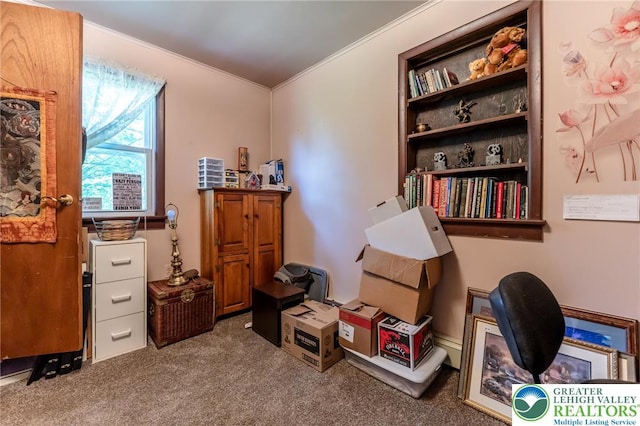 150 Lehigh St, Franklin Twp, PA 18235 - office with ornamental molding and carpet floors