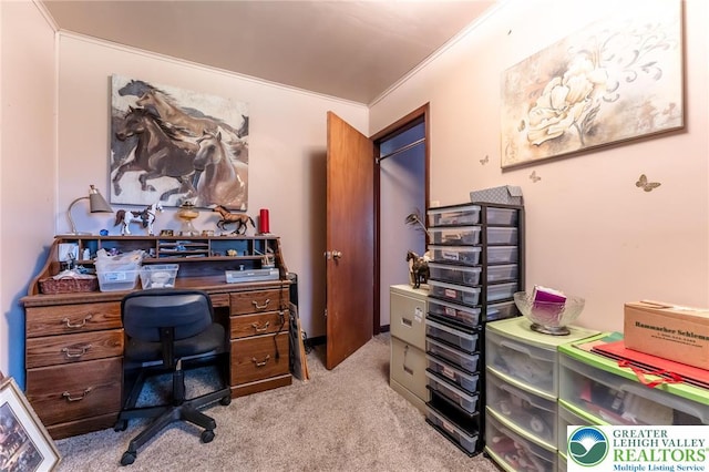 150 Lehigh St, Franklin Twp, PA 18235 - carpeted home office featuring ornamental molding