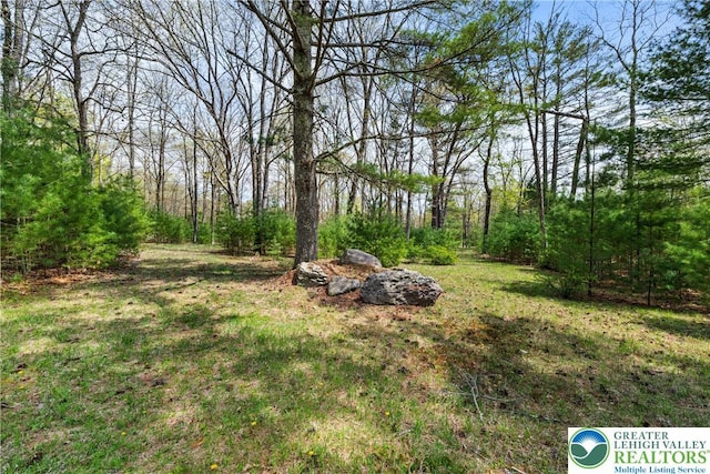 Hallet Rd, Stroud Twp, PA 18301 - view of yard featuring a view of trees