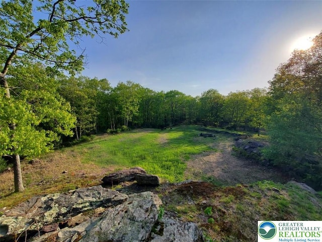 Hallet Rd, Stroud Twp, PA 18301 - view of yard with a forest view