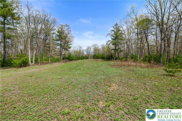 Hallet Rd, Stroud Twp, PA 18301 - view of grassy yard with a forest view