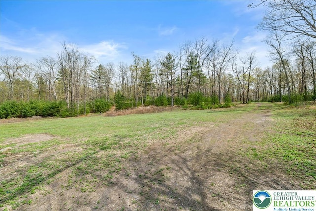 Hallet Rd, Stroud Twp, PA 18301 - view of yard with a forest view