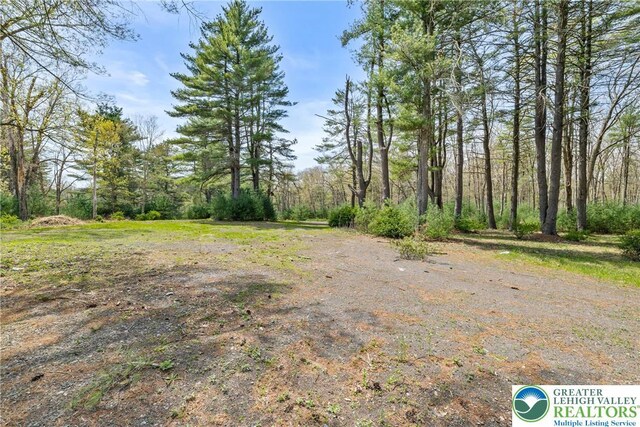 Hallet Rd, Stroud Twp, PA 18301 - view of yard with a view of trees