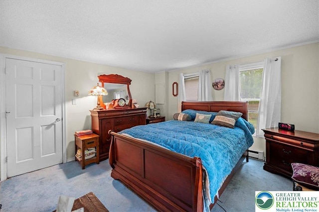 138 Drakes Dr, Penn Forest Twp, PA 18229 - bedroom featuring carpet floors, baseboard heating, and a textured ceiling