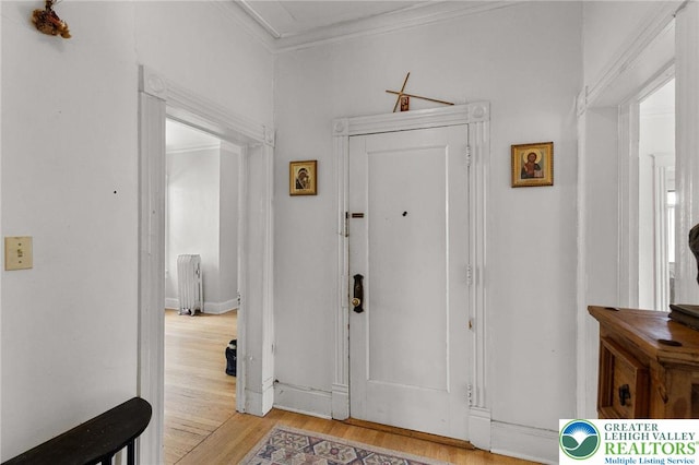 923 N Webster, Lackawanna, PA 18510 - entryway featuring radiator, light wood-style floors, ornamental molding, and baseboards