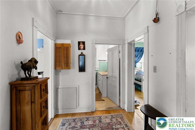 923 N Webster, Lackawanna, PA 18510 - hallway featuring light wood-style floors and ornamental molding