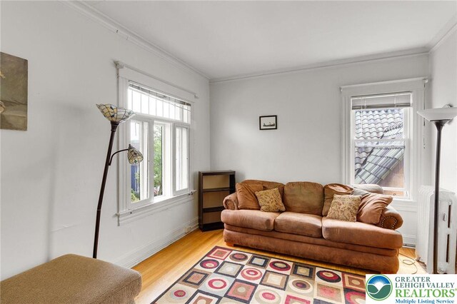 923 N Webster, Lackawanna, PA 18510 - living area with ornamental molding, light wood-style floors, radiator, and baseboards