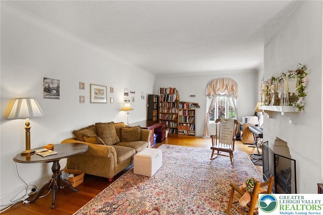 923 N Webster, Lackawanna, PA 18510 - living room featuring wood finished floors and a fireplace