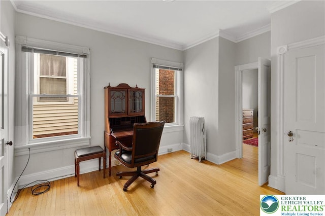 923 N Webster, Lackawanna, PA 18510 - home office with radiator, light wood-style flooring, baseboards, and ornamental molding