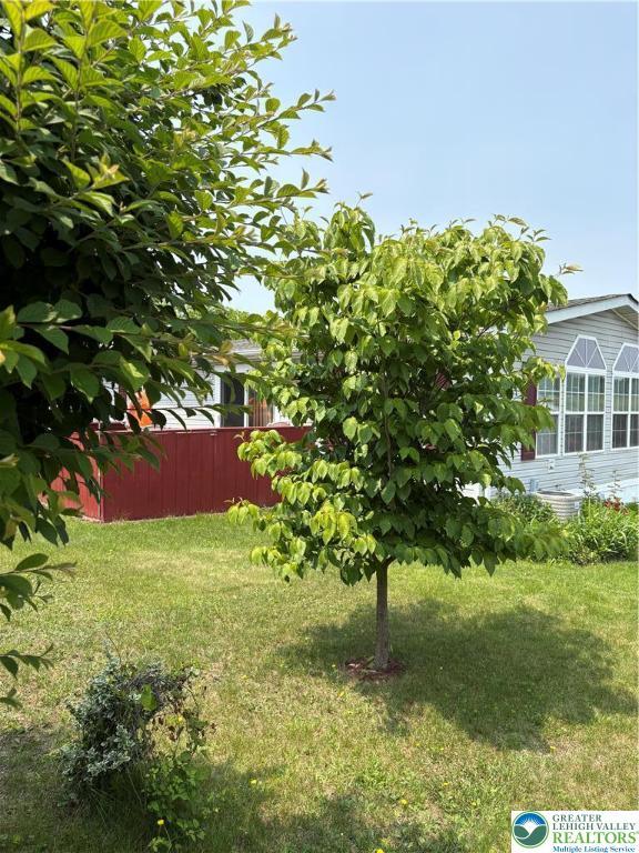 10188 Cork Ln, Upper Macungie Twp, PA 18031 - view of yard