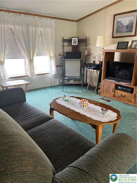 10188 Cork Ln, Upper Macungie Twp, PA 18031 - living area featuring carpet floors, lofted ceiling, and crown molding