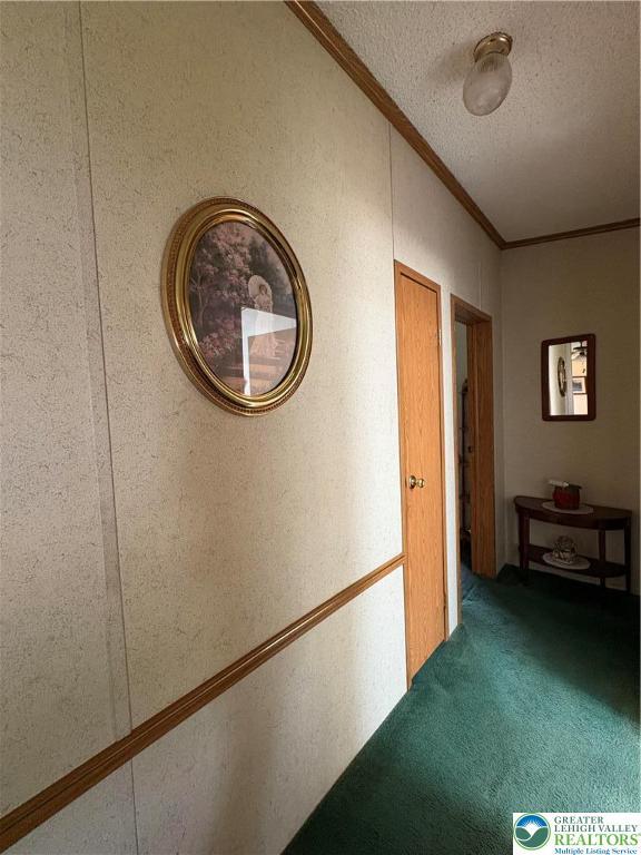 10188 Cork Ln, Upper Macungie Twp, PA 18031 - hall featuring ornamental molding, a textured ceiling, and carpet flooring