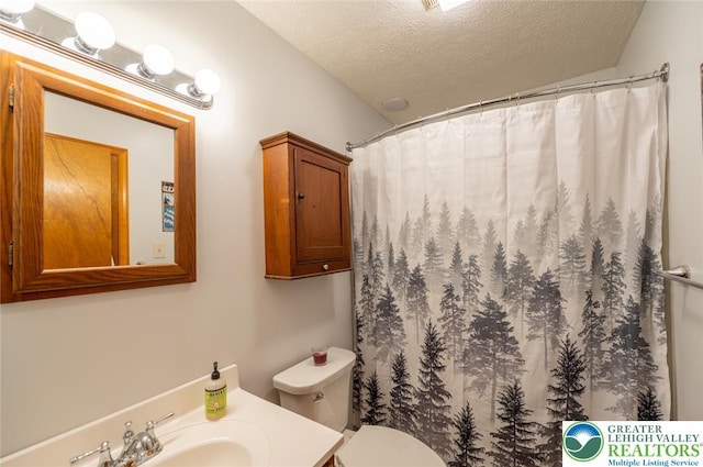 354 Kilmer Trl, Penn Forest Twp, PA 18210 - full bathroom featuring a textured ceiling, vanity, toilet, and a shower with curtain