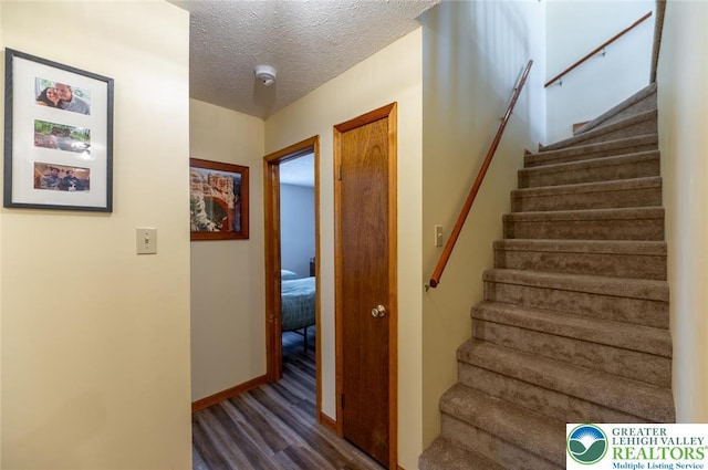 354 Kilmer Trl, Penn Forest Twp, PA 18210 - stairs with wood finished floors, a textured ceiling, and baseboards