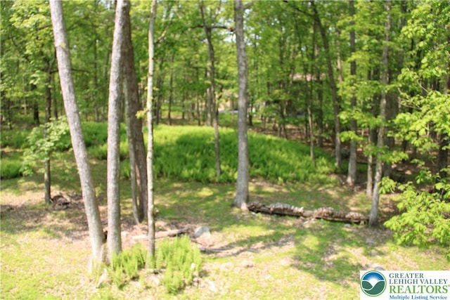 354 Kilmer Trl, Penn Forest Twp, PA 18210 - view of yard