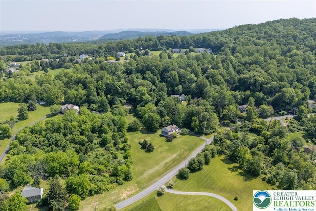 730 Buttermilk Rd, Williams Twp, PA 18055 - bird's eye view of a forest