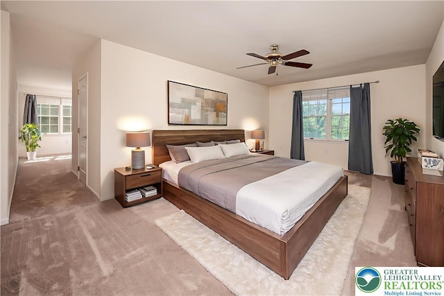 730 Buttermilk Rd, Williams Twp, PA 18055 - bedroom with light colored carpet, baseboards, and ceiling fan