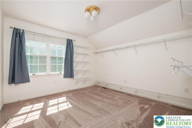 730 Buttermilk Rd, Williams Twp, PA 18055 - spacious closet featuring carpet flooring and vaulted ceiling