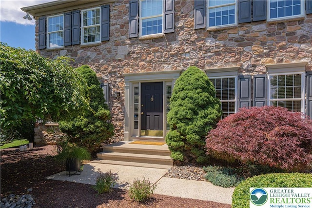 697 Ryan Dr, South Whitehall Twp, PA 18103 - property entrance featuring stone siding