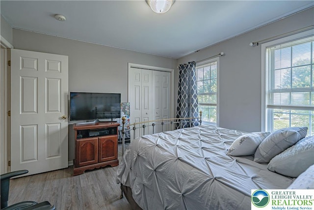 697 Ryan Dr, South Whitehall Twp, PA 18103 - bedroom with wood finished floors and a closet