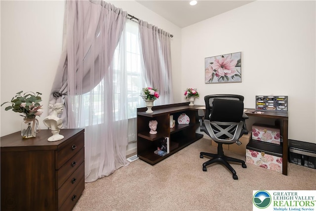 1043 Lisa Ln, Palmer Twp, PA 18045 - view of carpeted office space