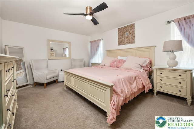 1043 Lisa Ln, Palmer Twp, PA 18045 - carpeted bedroom featuring multiple windows and a ceiling fan