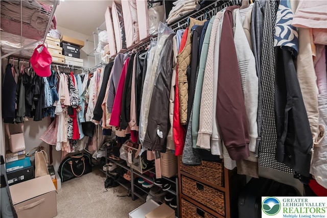 1043 Lisa Ln, Palmer Twp, PA 18045 - spacious closet featuring carpet