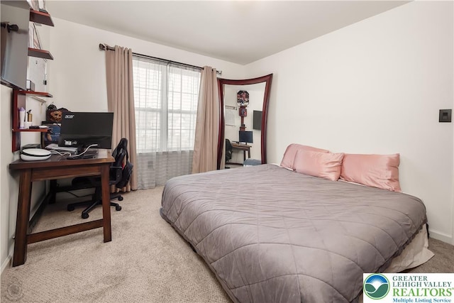 1043 Lisa Ln, Palmer Twp, PA 18045 - carpeted bedroom featuring a desk and baseboards