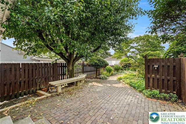 541 Elm St, Emmaus Borough, PA 18049 - view of patio