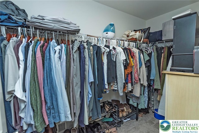 1404 Waverly Ave, Easton, PA 18040 - spacious closet with carpet
