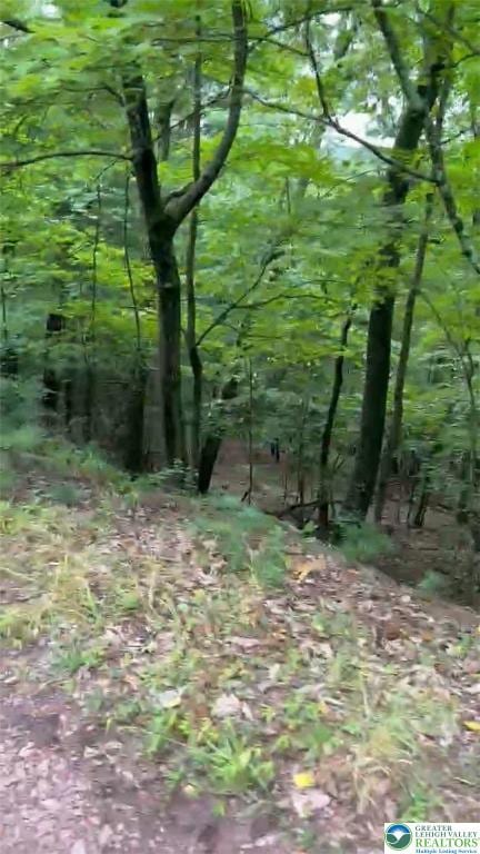 3018 Hickory Ln Unit 3018, Luzerne, PA 18655 - view of local wilderness