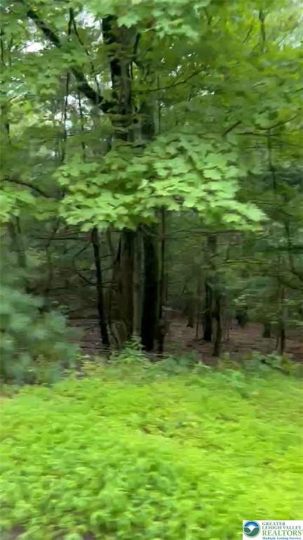 3018 Hickory Ln Unit 3018, Luzerne, PA 18655 - view of nature