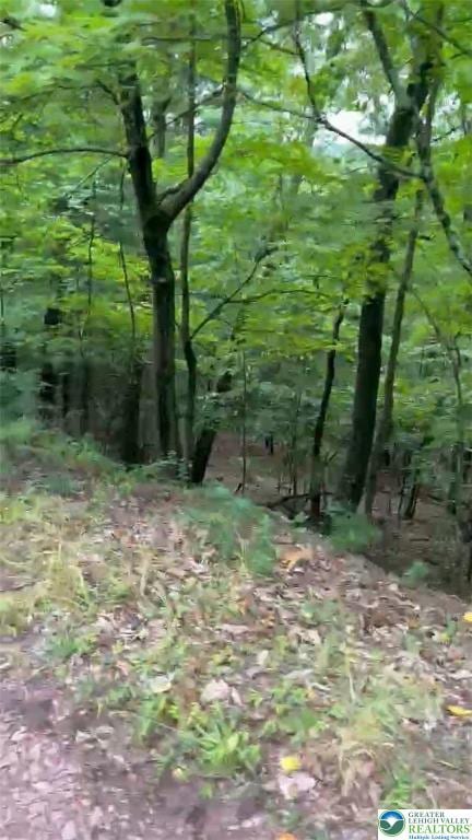 3018 Hickory Ln Unit 3018, Luzerne, PA 18655 - view of local wilderness