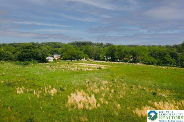 2530 5th Street, St, PA 18014 - view of yard featuring a rural view