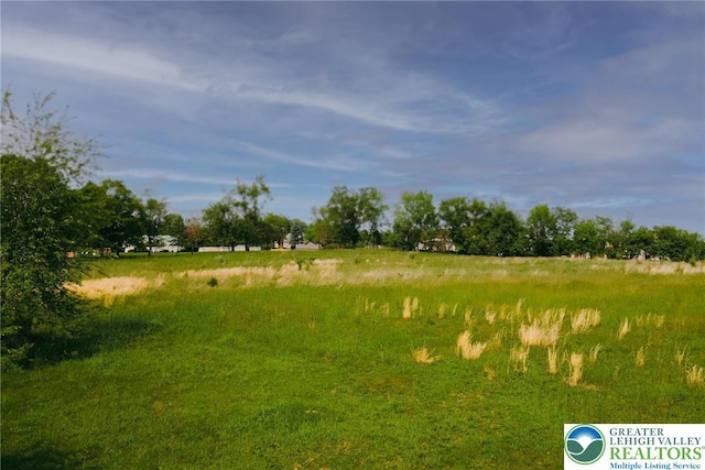 2530 5th Street, St, PA 18014 - view of yard